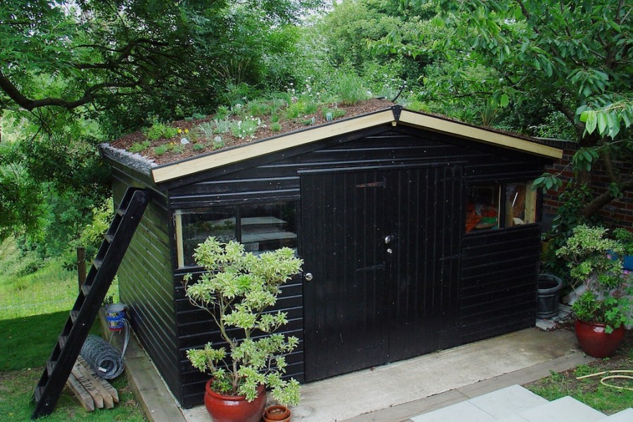 Retrofitting Sheds: Introduction - Small Scale Green Roof ...