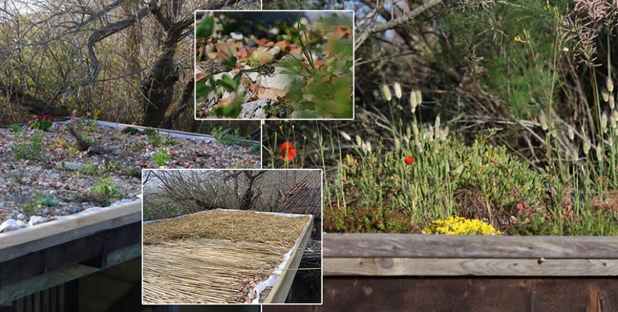 About the Small Scale Green Roofs Guide Small Scale Green Roof Guide DIY guide to green roofs on gardens sheds