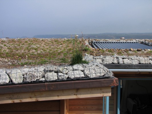 green roof edge detail