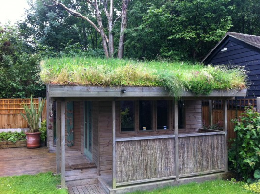 shed with green roof