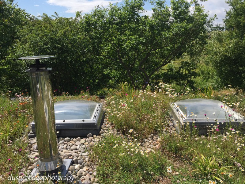 Summer House Green Roof