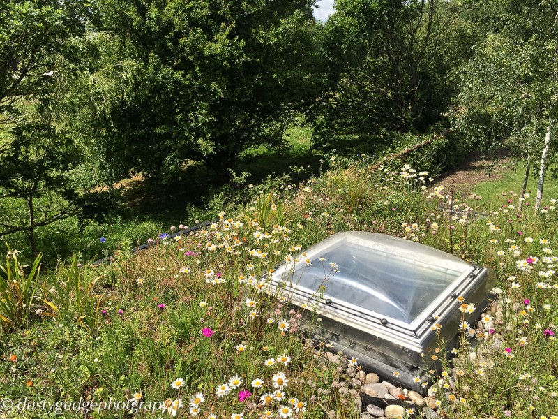 View from the summer house green roof