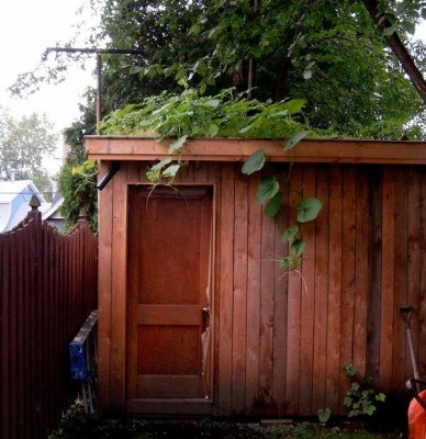 Urban Food - Montreal - Small Scale Green Roof Guide