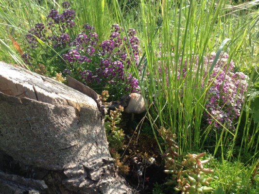 green roof with logs