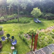 Lets make brownfield gardens part of urban landscapes