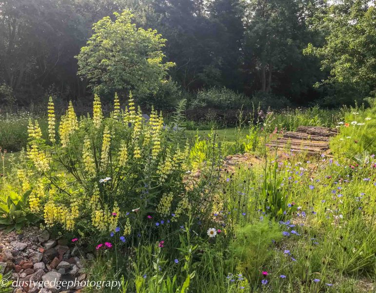 Making brownfield gardens part of urban landscapes