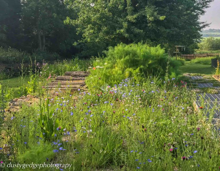 Making brownfield gardens part of urban landscapes
