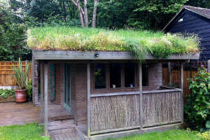 extensive green roof on a small shed
